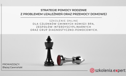 Strategie pomocy rodzinie z problemem uzależnień oraz przemocy domowej