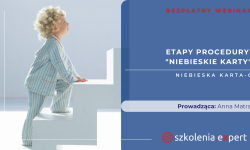 Etapy procedury Niebieskie Karty - Niebieska Karta-C